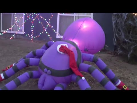 Spider Christmas Decorations