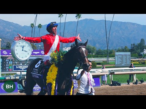 Unforgettable Moments from 40th Breeders' Cup