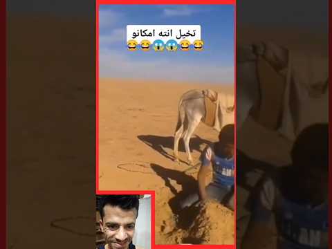 اضحك من قلبك ههههههههههه  / اتحديك ماتضحك ههههههههههه 😂😂😂