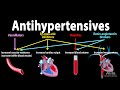 Hypertension Treatment and Mechanisms