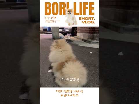 친구들 다 어디 간고지..나 여기서 기다릴게..!!