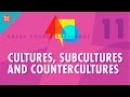 Understanding Cultures and Their Dynamics
