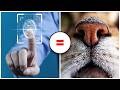 Feline Facts and Trivia