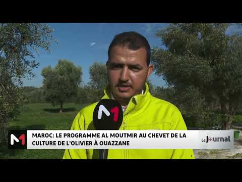 Maroc : le programme Al Moutmir au chevet de la culture de l´olivier à Ouazzane