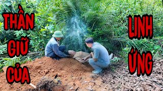 Lưu Hậu Phải Đi Viện Vì Giải Mã Giấc Mơ Thần Giữ Của Cầu Cứu Suốt 20 Năm Của Cô Thu, Cái Kết Có Hậu