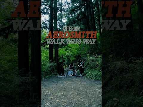 Walk This Way / Aerosmith