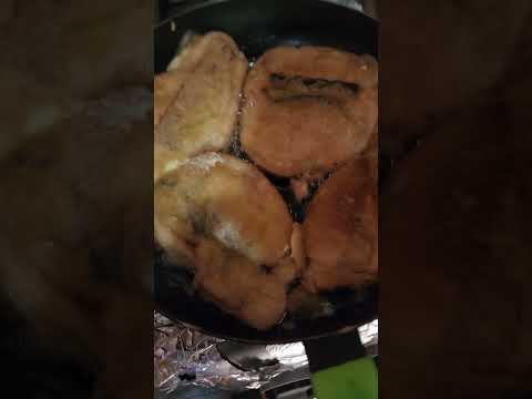 HACI VAN KEDANDO LAS TORTAS DE MACARELA🥰 #shors #pesca #cosinando