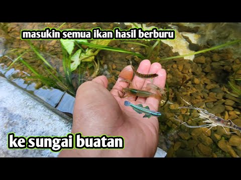 MASUKIN SEMUA IKAN HASIL BERBURU DI SUNGAI BUKIT