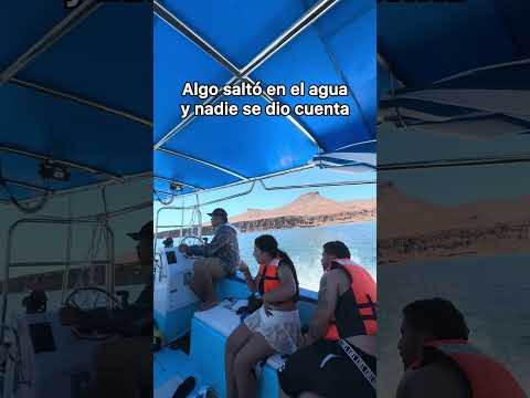 Cuando dios te manda una señal clara 😨