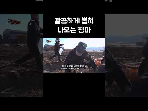 정교한 조작이 필요한 굴착기 작업 #shorts