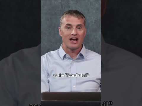 The White Coat Investor | Medical Malpractice "Lizard's Tail"