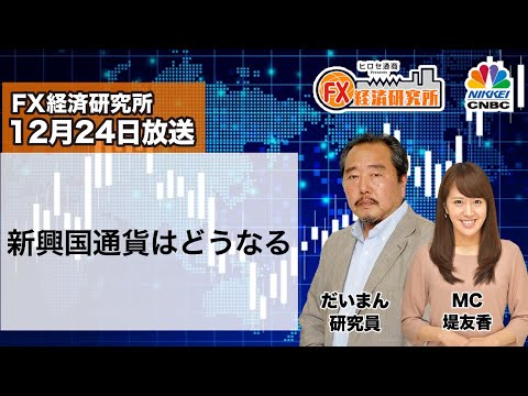 12月24日放送 『FX経済研究所』（新興国通貨はどうなる）日経CNBC