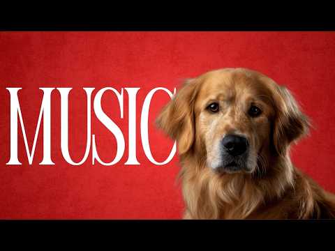Working Form Home Dog Music: Gentle Music Designed for Relaxed Happy Dogs