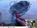 Cell Structure and Function Concepts