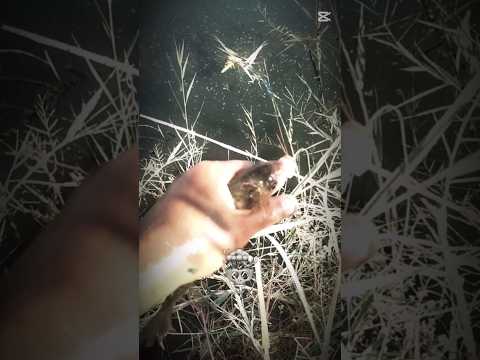 شوف صدمه بل اخير😱😱😱💪