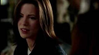 The Serendipity 2
