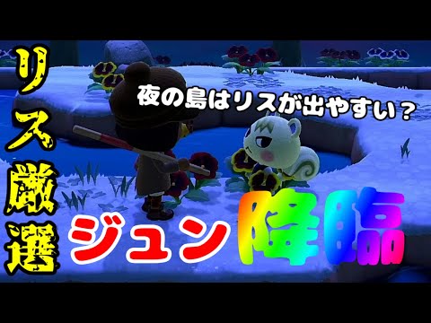 【住民厳選】リス縛り離島ガチャ！夜はリスが出やすいって本当！？オカルトを信じてジュンに逢いに行く！【あつ森】【あつまれどうぶつの森】