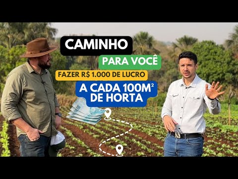 Como começar a produzir hortaliças? Onde buscar informações? Com quem aprender? Como fazer?