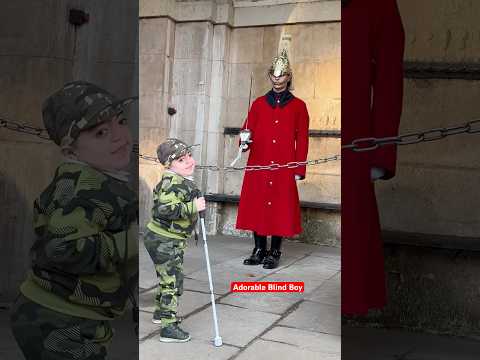 Adorable Amin Greets the Guard a Happy New Year #tourist #horseguardsparade #history #royal #horse