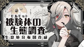 【視聴者アンケート】被験体の生態調査☻生息地分布図作成【#アカシ・ニコ／ビバプロ 】