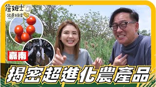 🔎《姆士尋寶去》鹽地奇蹟！台南「鹹水番茄」爆汁超甜秘辛？加碼嘉義「奶香炙燒羊肉」太銷魂！