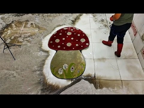 lncredible carpet intersting cleaning ASMR
