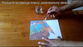 Magické omalovánky
