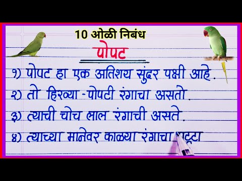 पोपट 10 ओळी निबंध मराठी / popat nibandh / माझा आवडता पक्षी पोपट मराठी निबंध / पोपट पक्षी निबंध
