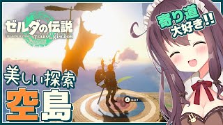 【ティアキン】発見だらけの寄り道大好き！初見【ゼルダの伝説ティアーズオブザキングダム 女性実況 Vtuber なちゅモカ】118