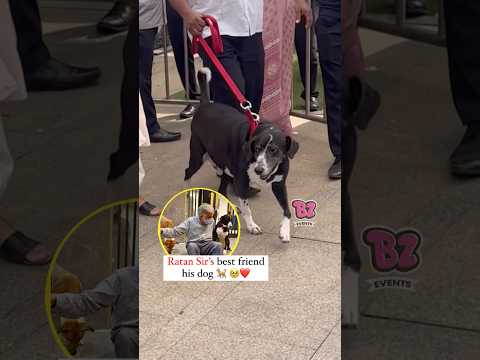 Unbreakable Bond: Ratan Sir and his loyal companion share a love that’s truly inspiring! 🐾❤️