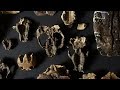 Fossil Discovery through Concretions