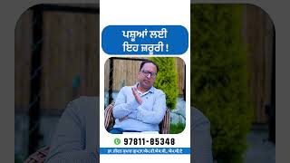 ਪਸ਼ੂਆਂ ਲਈ ਇਹ ਜ਼ਰੂਰੀ !