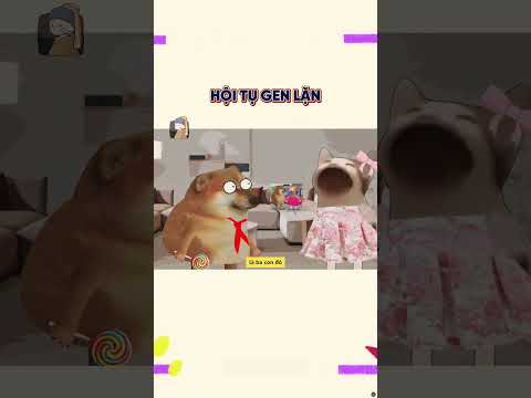 Hội tụ gen lặn | Cheems Nhân Văn