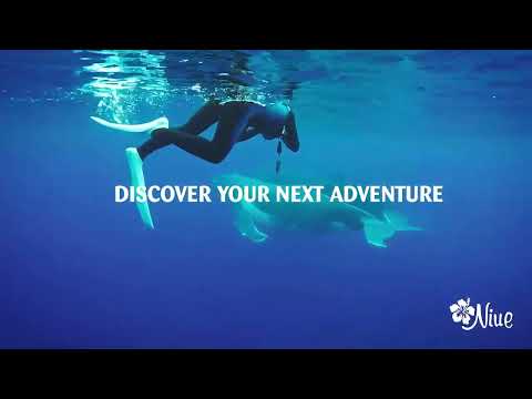 Discover your Next Adventure