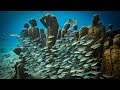 Underwater Sculptures and Ocean Conservation