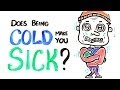 Understanding the Correlation Between Cold Weather and Illness