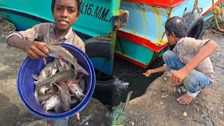 😀🎣Suddenly Small Boy Catching the Big Sea Fish in the Harbour🔥🎣