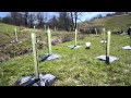 Water Quality and Livestock Management