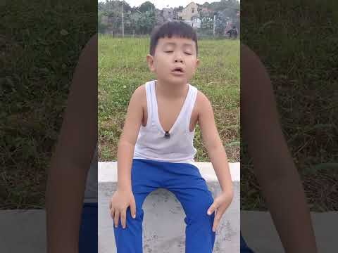 pamer layangan