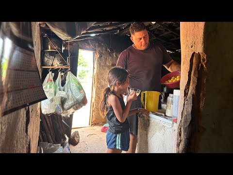 JOÃO E SOFIA FAZENDO SUCO DE LIMÃO