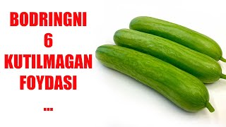Bodringni Kutilmagan 6 Foydasi...
