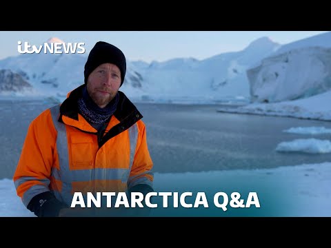 Antarctica: Your questions answered on how we filmed it and what changes there mean for you