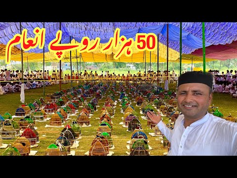 Black Francolin Sound Competition | 800 Kala Teetar Ka Muqabla | Mubashir Saddique | Village Food