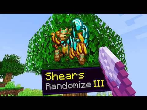 I Secretly Added RANDOMIZER Enchant in Minecraft..