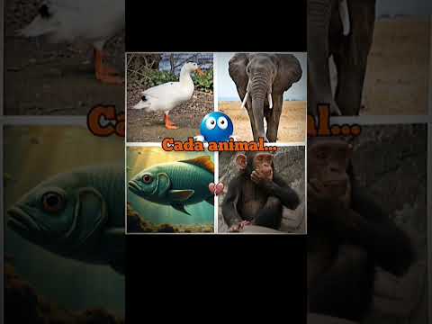 cada animal #viral #newmusic #dance #music #remix #short