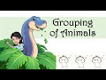 Animal Characteristics and Habitats