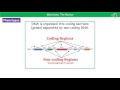 Understanding Mutations and Their Effects