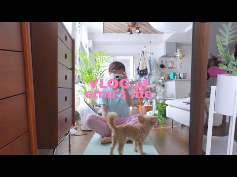 VLOG/ソロ活を楽しみすぎな24歳の休日🧤アフタヌーンティー,ショッピング,タコス作り,映画鑑賞