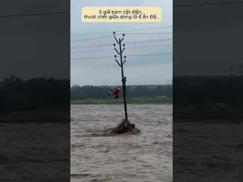 5 giờ bám cột điện, thoát chết giữa dòng lũ ở Ấn Độ