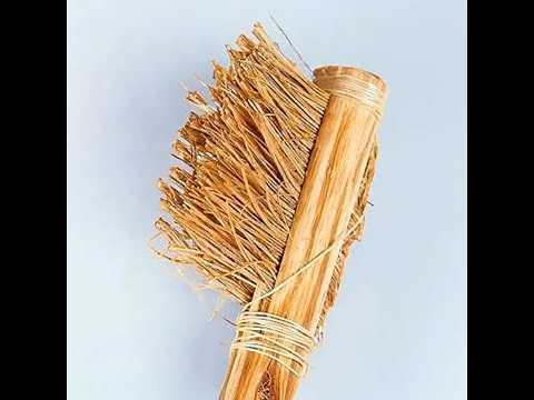 पुराने जमाने में लोग ब्रश कैसे करते थे? | How Ancient Toothbrush Look Like? | #shorts